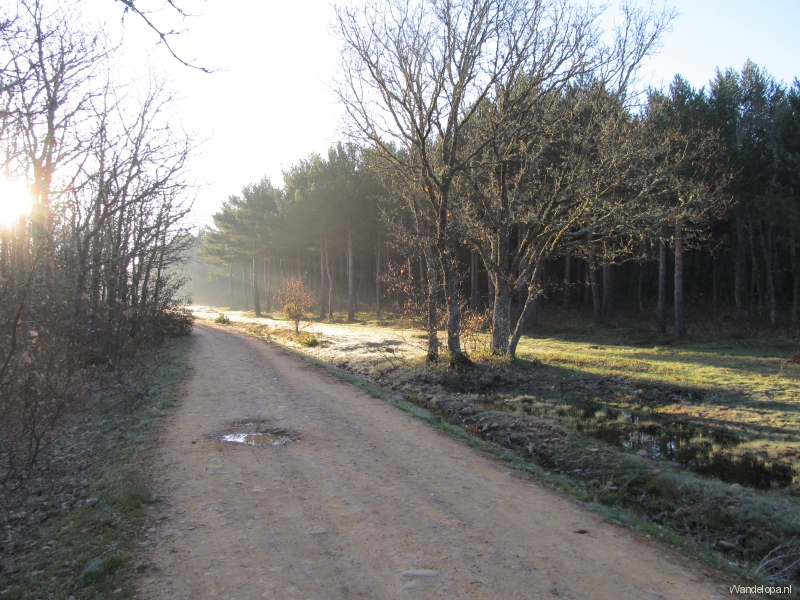 Ochtend nevel Ochtend nevel