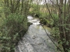 Vers stromend water