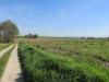 Het wordt allengs warmer