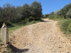 Het pad en de weg naar Uterga