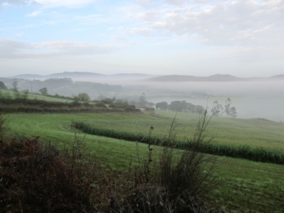 camino-ingl%c3%a8s-130