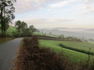 camino-ingl%c3%a8s-131